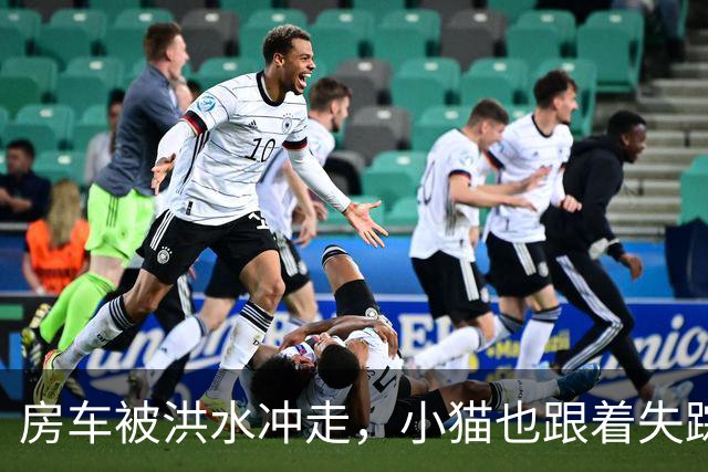 房车被洪水冲走，小猫也跟着失踪，8天后它突然回家了，全家人都哭了