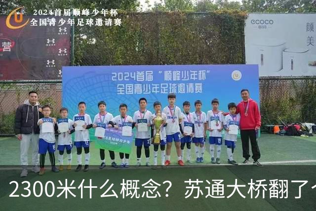 2300米什么概念?苏通大桥翻了个倍,南通人这回真不用堵桥上了
